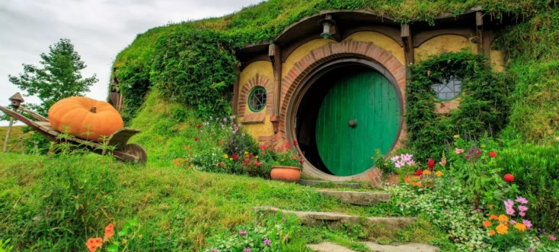  5 Fun Activities to Do in New Zealand: American-Friendly Entertainment Options