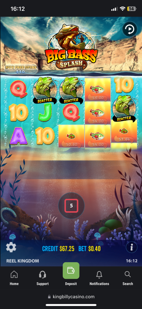 screen